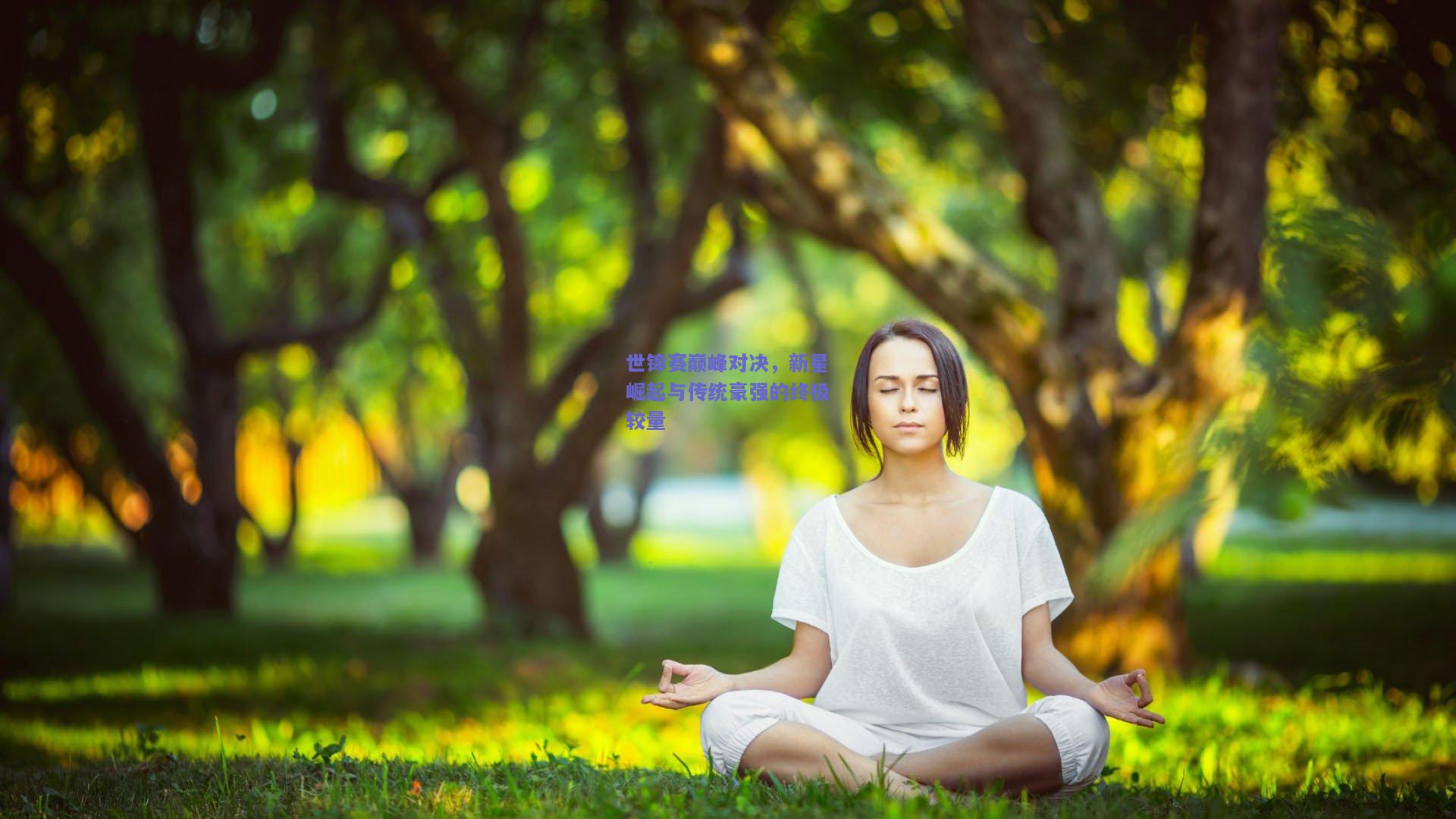 世锦赛巅峰对决，新星崛起与传统豪强的终极较量